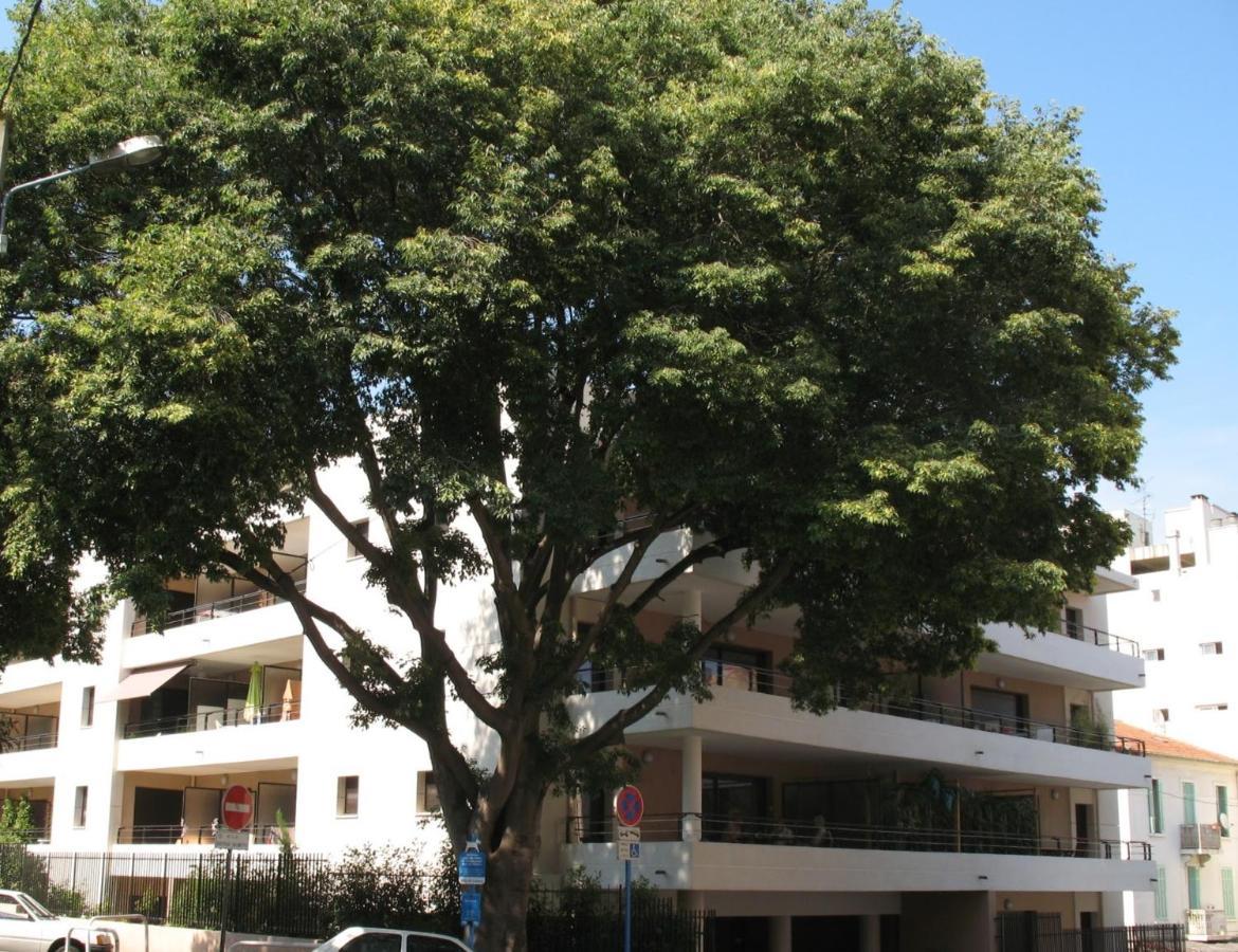 Spacious Luxury Apt, 12 Min Walk To Croisette Beach And Conf Centre Cannes Exteriér fotografie